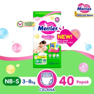ppk mgs nbs40